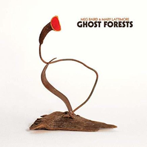 Baird, Meg / Lattimore, Mary: Ghost Forests