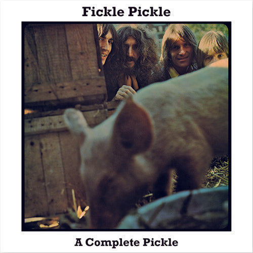 Fickle Pickle: Complete Pickle