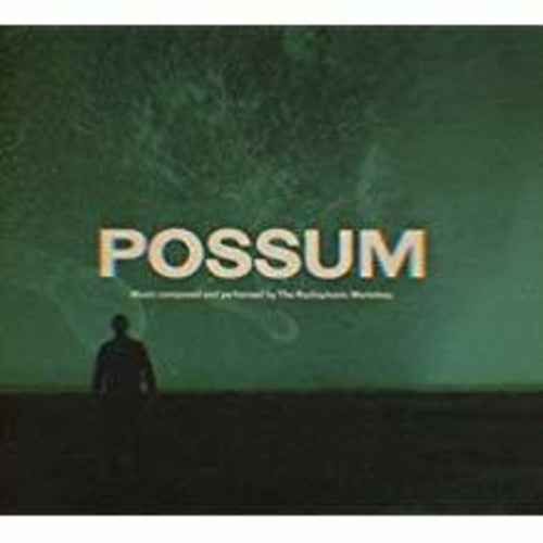 Radiophonic Workshop: Possum