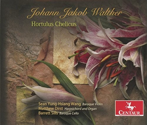 Wang / Dirst / Sills: Hortulus Chelicus