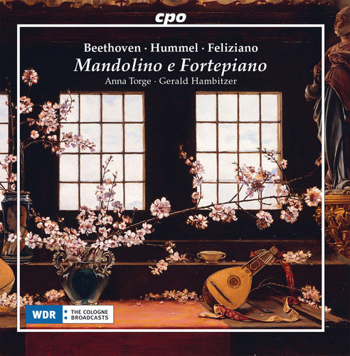 Beethoven / Torge / Hambitzer: Mandolino E Fortepiano