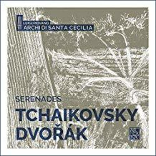 Dvorak / Piovano: Serenades