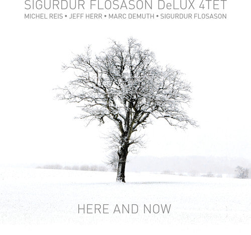 Flosason, Sigurdur: Here & Now