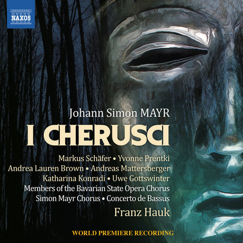 Mayr / Schafer / Hauk: I Cherusci