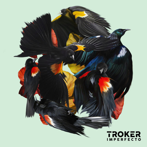 Troker: Imperfecto