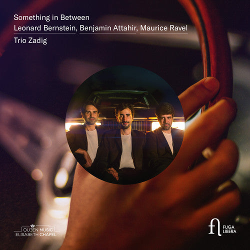 Attahir / Zadig Trio: Something in Between