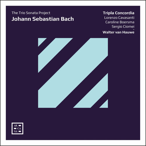 Bach, J.S. / Hauwe / Tripla Concordia: Trio Sonata Project