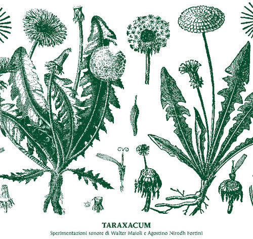 Maioli, Walter & Nirodh Fortini: Taraxacum