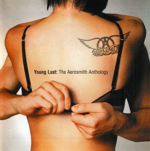 Aerosmith: Young Lust: The Aerosmith Anthology