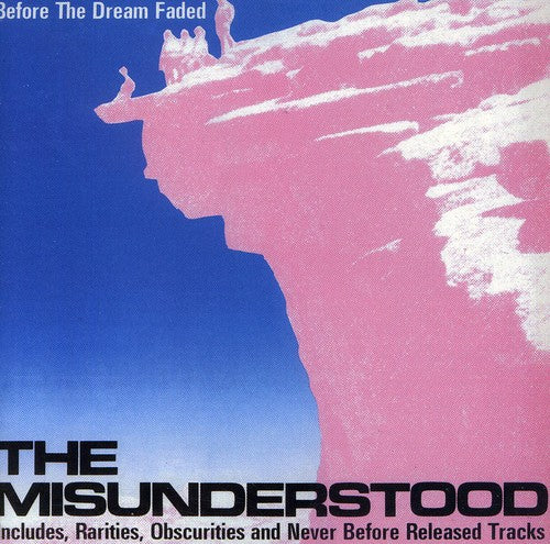 Misunderstood: Before the Dream Faded