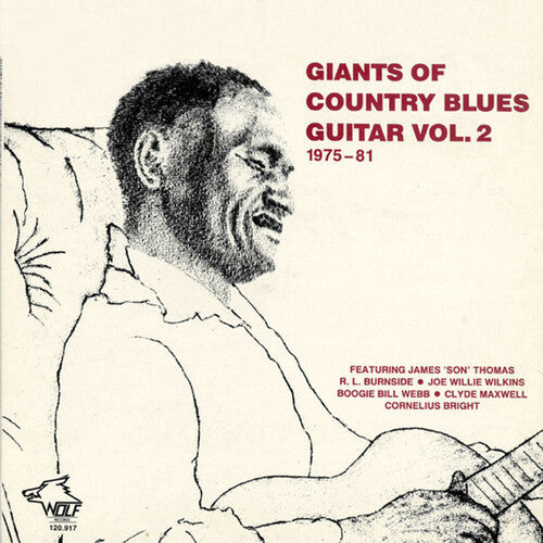 Giants of Country Blues Guitar 2 / Various: Giants of Country Blues Guitar 2 / Various