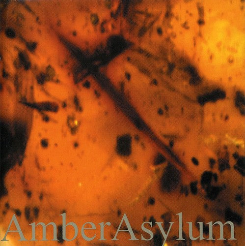 Amber Asylum: Frozen in Amber