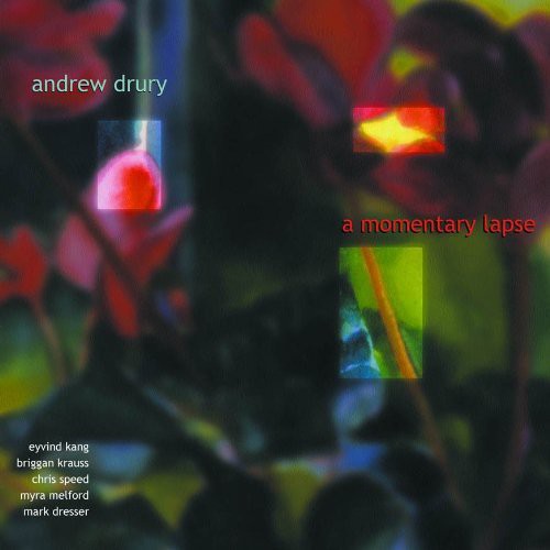 Drury, Andrew: Momentary Lapse