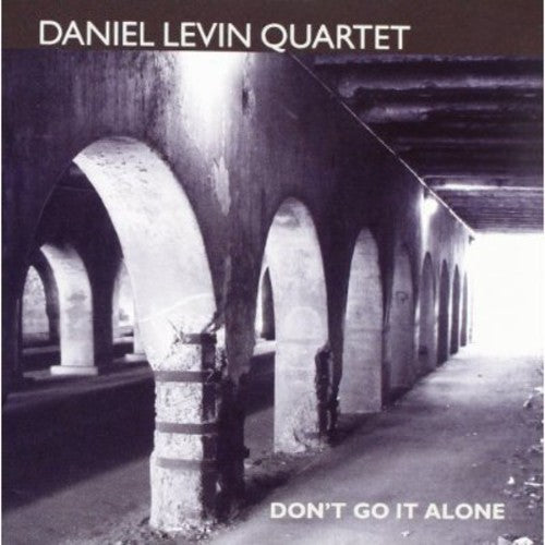 Levin, Daniel: Don't Go It Alone