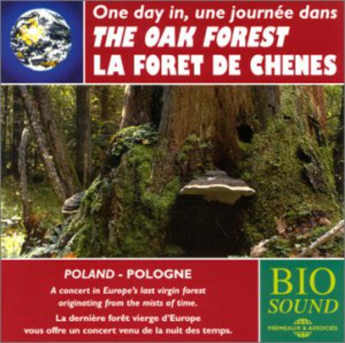 Sounds of Nature: The Oak Forest