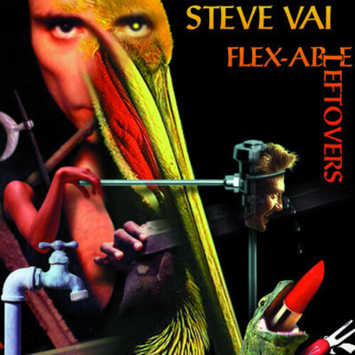 Vai, Steve: Flexable Leftovers