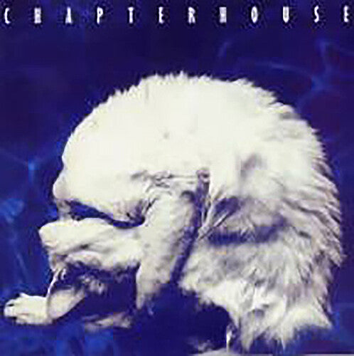 Chapterhouse: Whirlpool