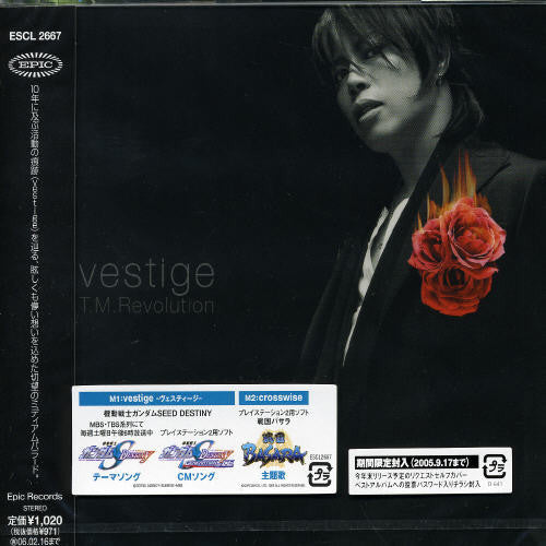 T.M. Revolution: Vestige