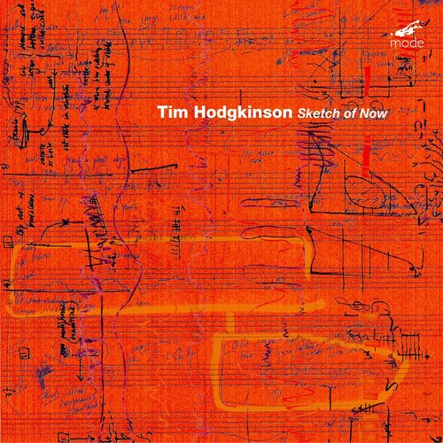 Hodgkinson, Tim: Sketch of Now